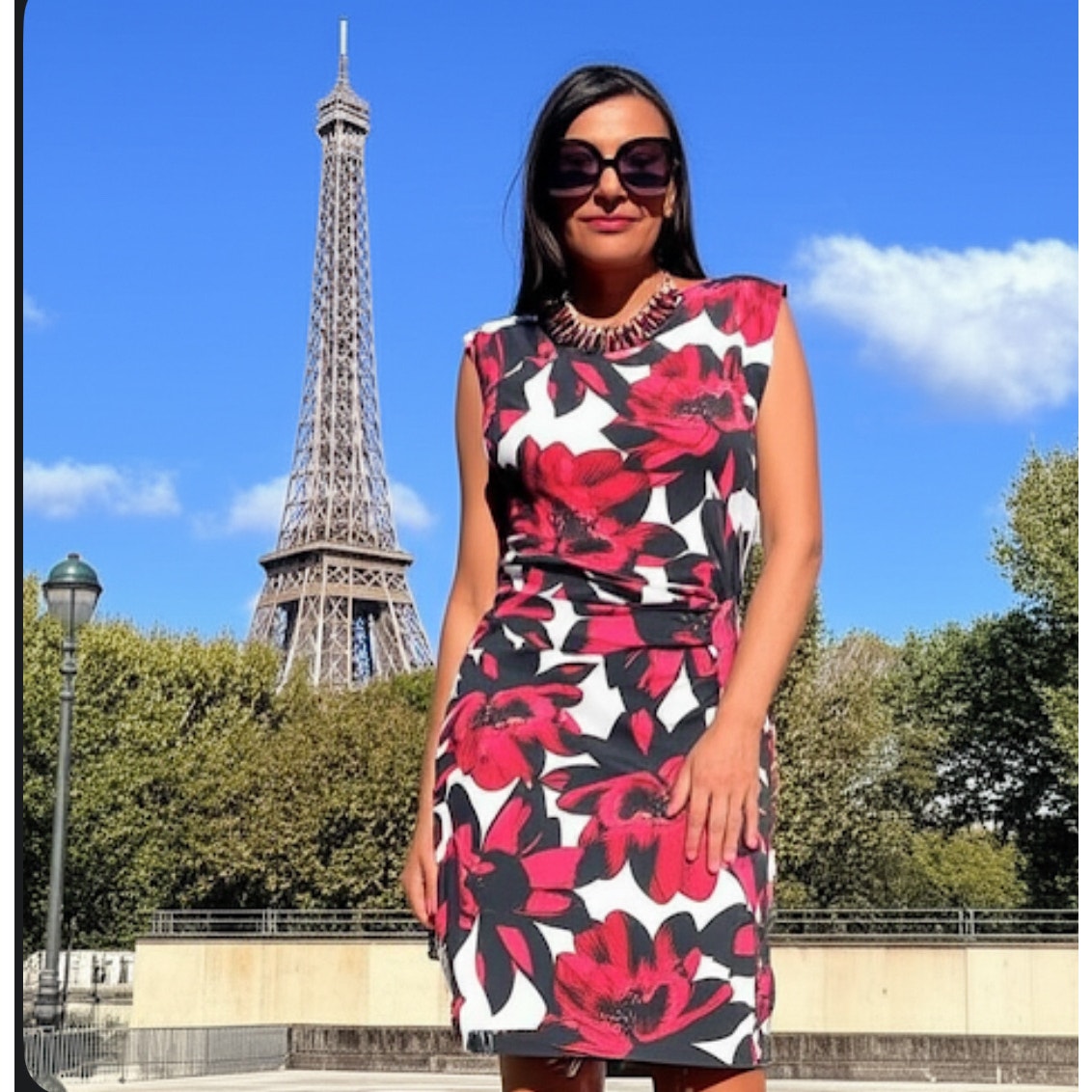Worthington Woman Sleeveless Floral Black And Red Career Formal Sheath Dress Xl